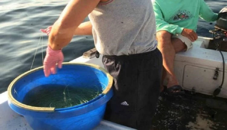 Ψαράς έμεινε άφωνος με το «τέρας» που αντίκρισε! Δεν είχε ξαναδεί ποτέ του κάτι τέτοιο